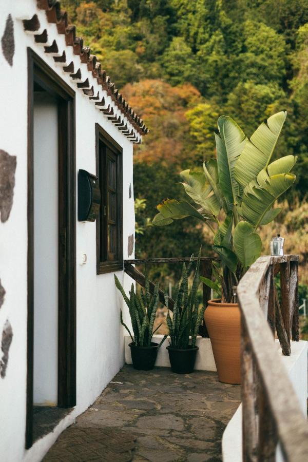 Las Casitas Del Bebedero - Yoga & Ecoturismo Icod De Los Vinos Zewnętrze zdjęcie