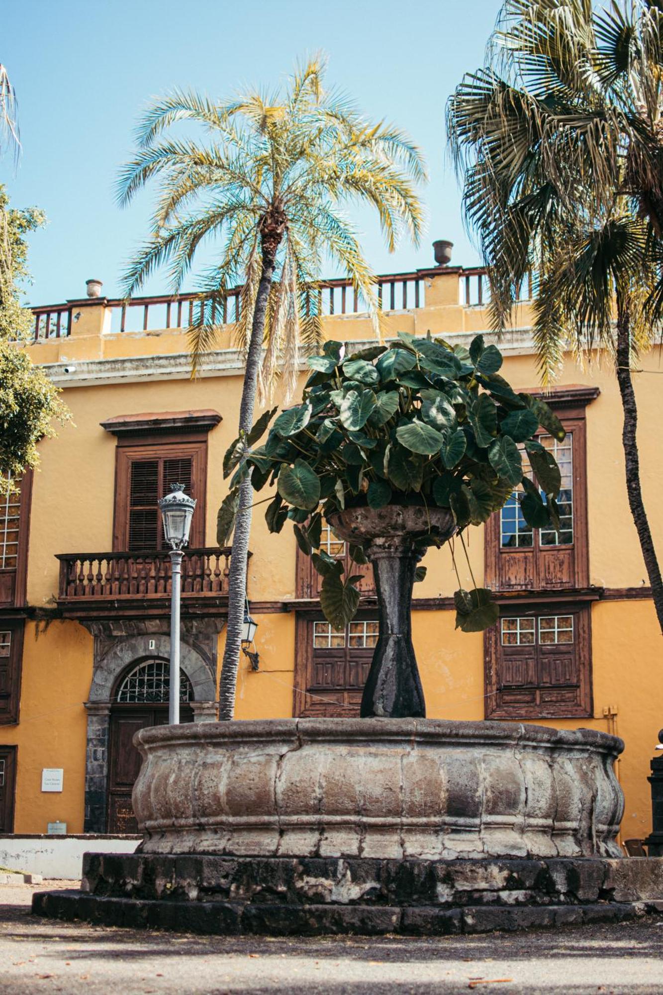 Las Casitas Del Bebedero - Yoga & Ecoturismo Icod De Los Vinos Zewnętrze zdjęcie