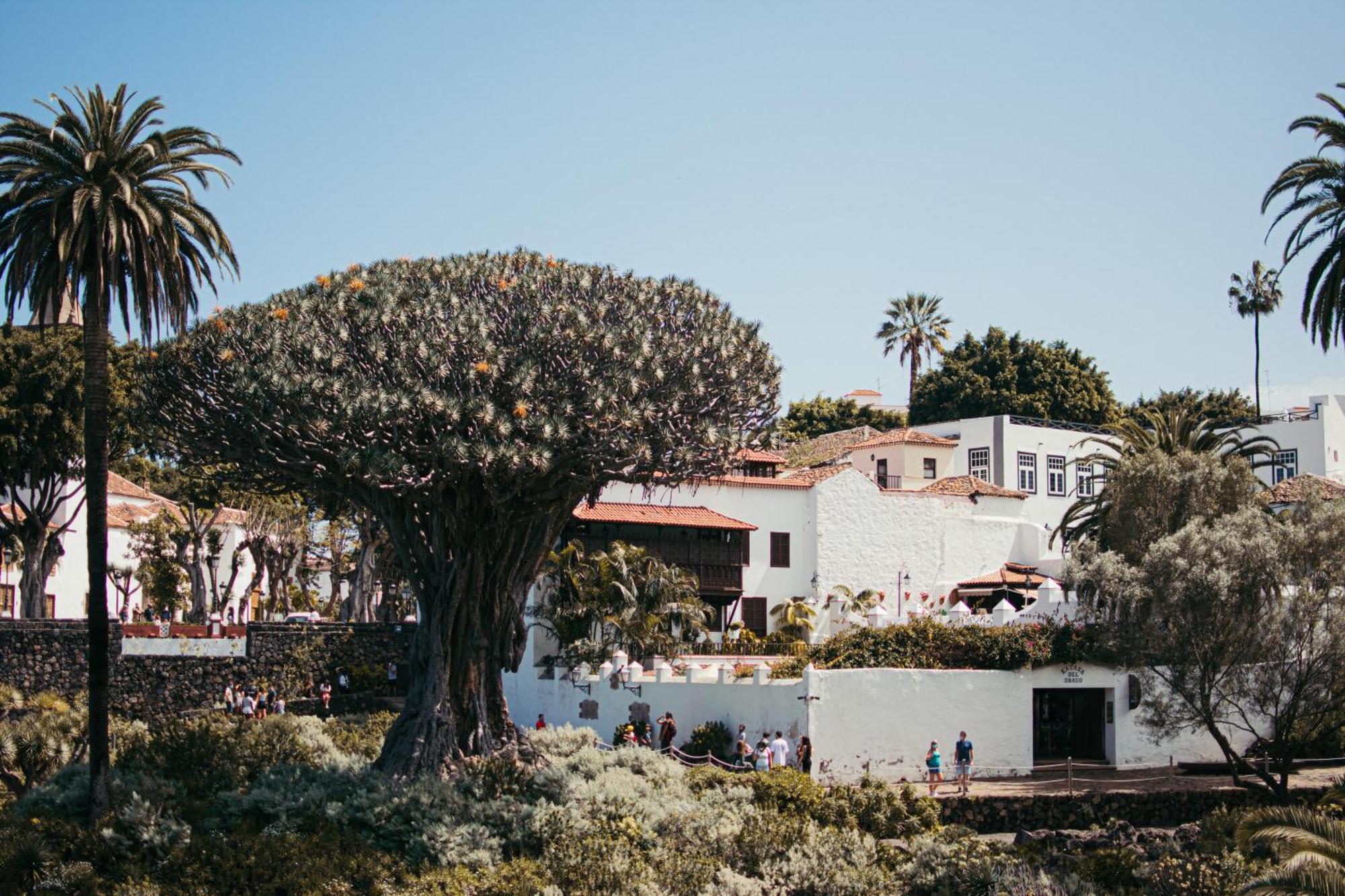 Las Casitas Del Bebedero - Yoga & Ecoturismo Icod De Los Vinos Zewnętrze zdjęcie